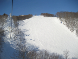 IMG_9974_1_1.JPG