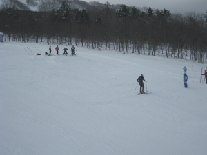 IMG_0081_1_1.JPG