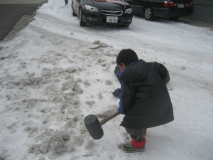 IMG_0245_1_1.JPG