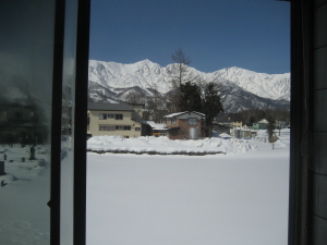 IMG_0275_1_1.JPG