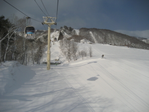 IMG_0623_1_1.JPG