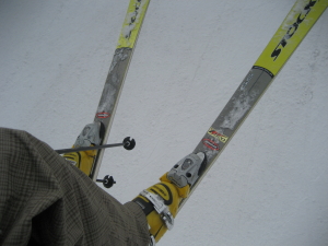 IMG_0919_1_1.JPG