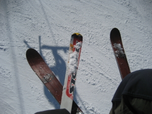 IMG_1074_1_1.JPG