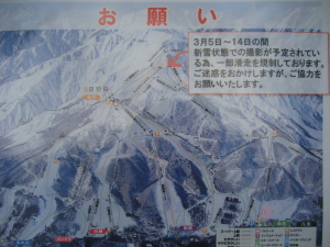 IMG_1117_1_1.JPG