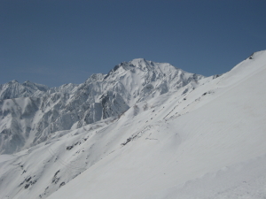 IMG_1324_1_1.JPG