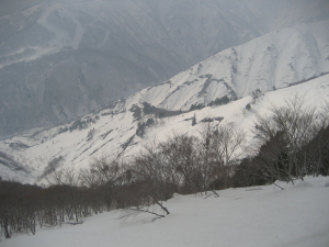 IMG_1375_1_1.JPG