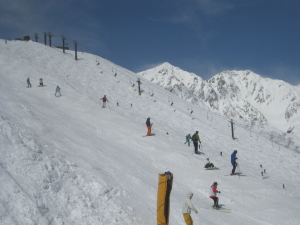 IMG_1418_1_1.JPG