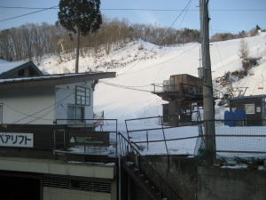 IMG_2119_1_1.JPG