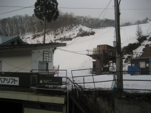 IMG_2185_1_1.JPG