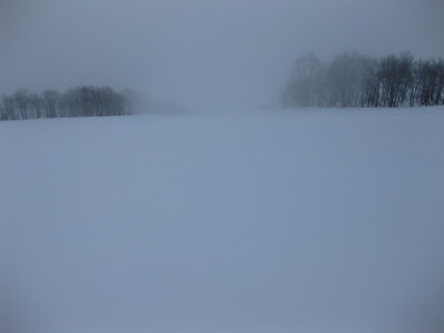 IMG_2834.jpg