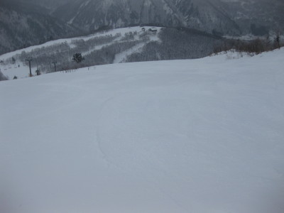 IMG_2862.jpg