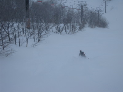 IMG_2880.jpg