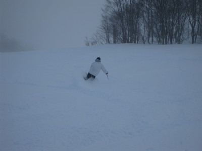 IMG_2888_1.jpg