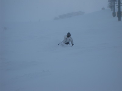 IMG_2890.jpg