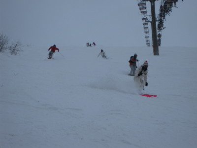IMG_2904.jpg