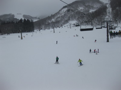 IMG_2921.jpg