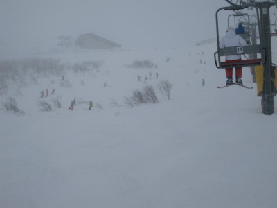 IMG_2933.jpg