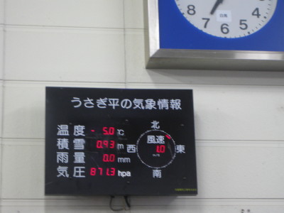 IMG_2936.jpg