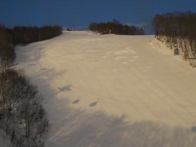 IMG_2941.jpg