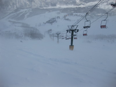 IMG_2964.jpg