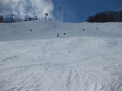 IMG_2968.jpg