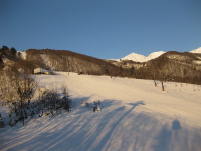 IMG_2979.jpg