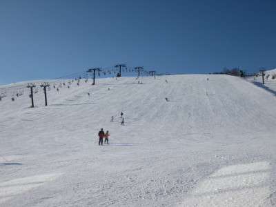 IMG_2995.jpg