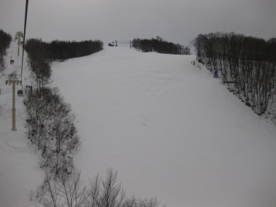 IMG_3005.jpg