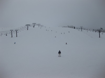 IMG_3020_1.jpg