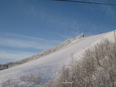 IMG_3060.jpg