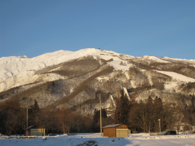 IMG_3070.jpg