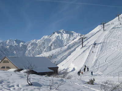 IMG_3087.jpg
