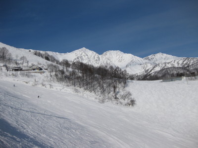 IMG_3094.jpg