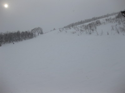 IMG_3123.jpg
