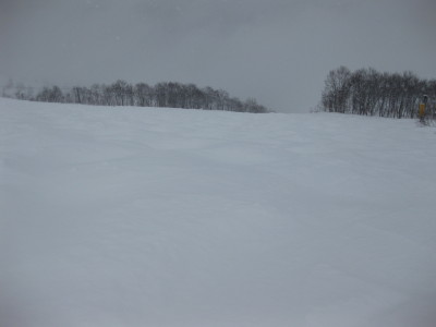 IMG_3129.jpg