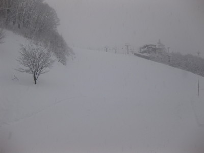 IMG_3200.jpg