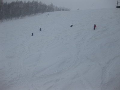 IMG_3231.jpg