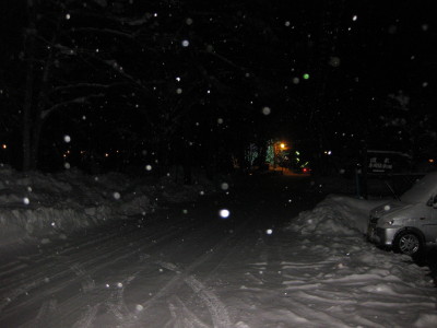IMG_3310.jpg