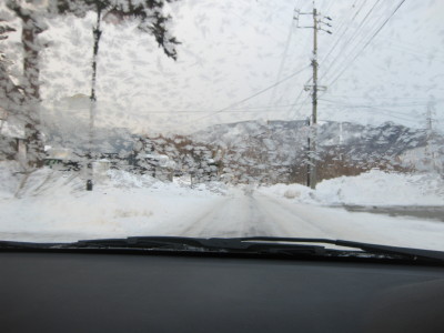 IMG_3379.jpg