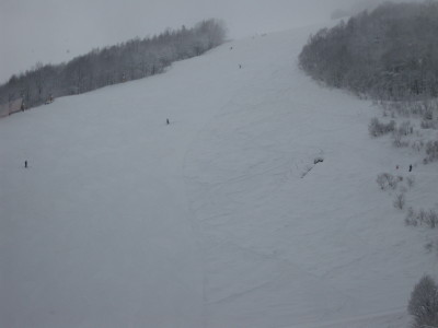 IMG_3415.jpg