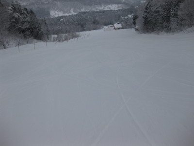 IMG_3416.jpg