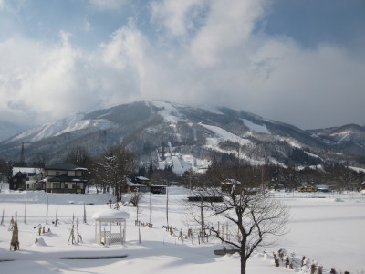 IMG_3447.jpg