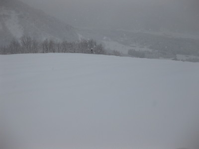 IMG_3494.jpg