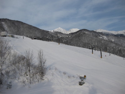 IMG_3547.jpg