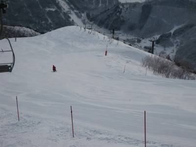 IMG_3557.jpg