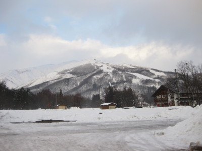 IMG_3602.jpg