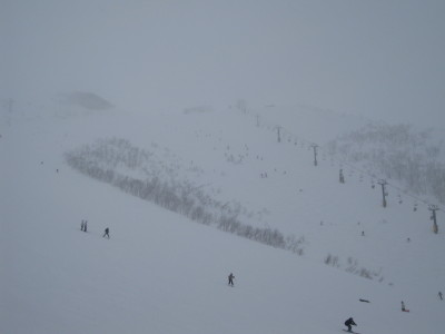 IMG_3635.jpg