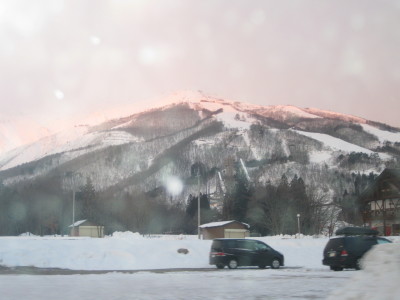 IMG_3644.jpg
