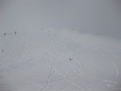 IMG_3665.jpg