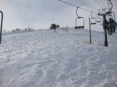 IMG_3668.jpg